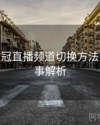 B体育欧冠直播频道切换方法演示 - 赛事解析