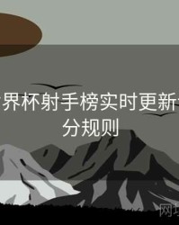 B体育世界杯射手榜实时更新说明 - 积分规则