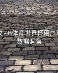 优化建议 - B体育世界杯用户活跃行为数据洞察
