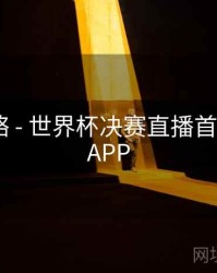 竞猜攻略 - 世界杯决赛直播首选B体育APP