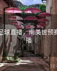 世预赛足球直播，南美世预赛足球直播