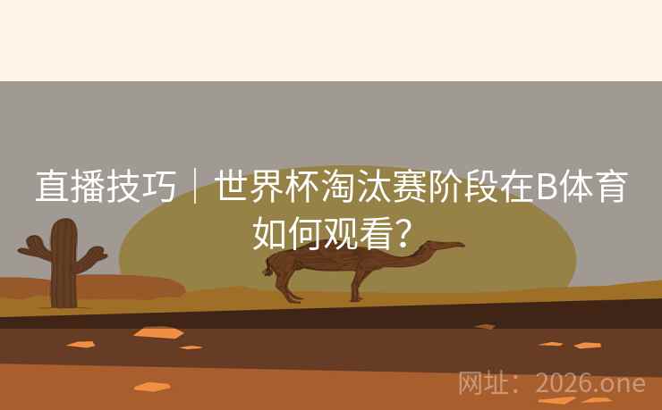 直播技巧｜世界杯淘汰赛阶段在B体育如何观看？