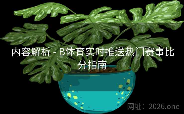 内容解析 - B体育实时推送热门赛事比分指南