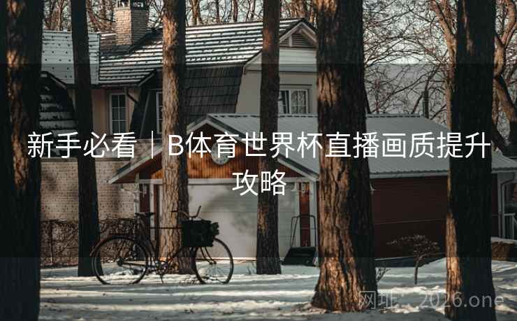 新手必看｜B体育世界杯直播画质提升攻略