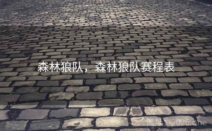 森林狼队，森林狼队赛程表