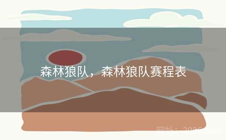 森林狼队，森林狼队赛程表