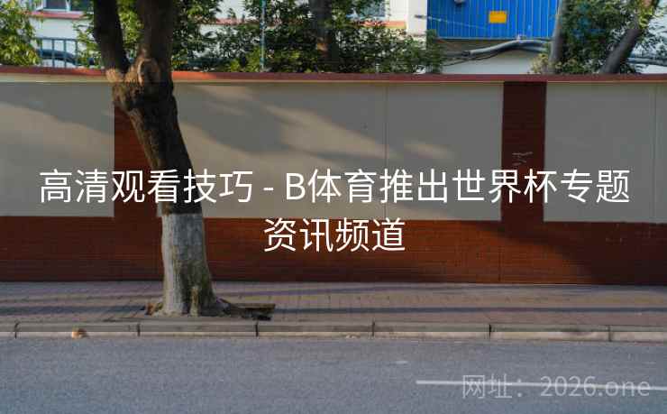 高清观看技巧 - B体育推出世界杯专题资讯频道