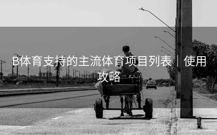 B体育支持的主流体育项目列表｜使用攻略