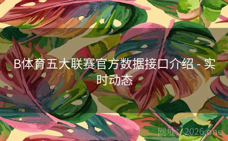 B体育五大联赛官方数据接口介绍 - 实时动态