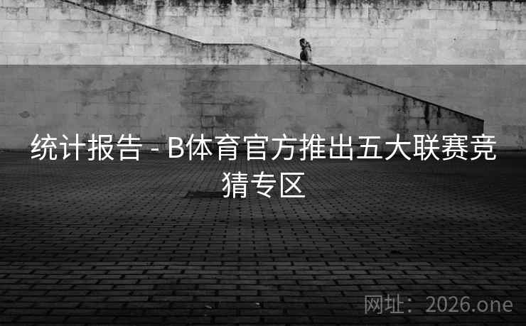 统计报告 - B体育官方推出五大联赛竞猜专区