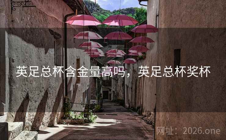 英足总杯含金量高吗，英足总杯奖杯