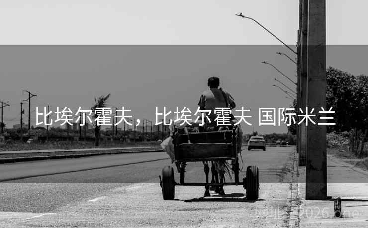 比埃尔霍夫，比埃尔霍夫 国际米兰