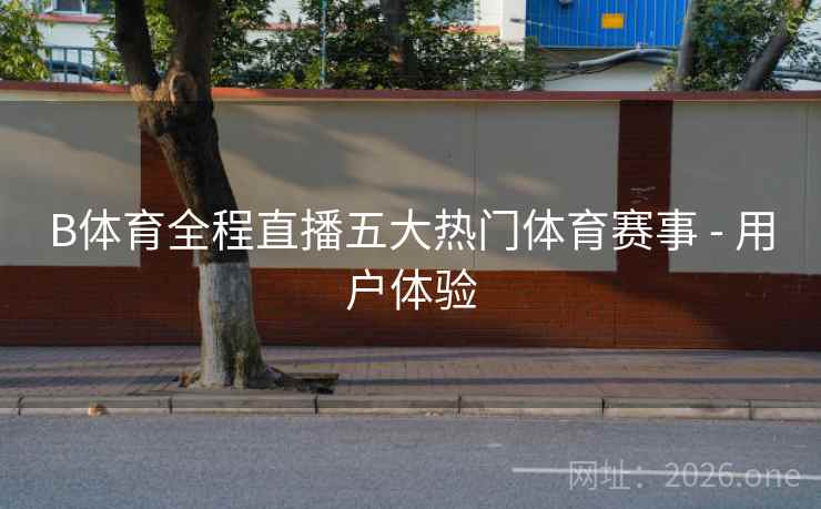 B体育全程直播五大热门体育赛事 - 用户体验