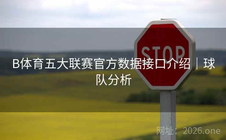 B体育五大联赛官方数据接口介绍｜球队分析