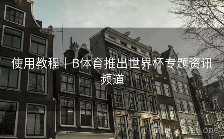 使用教程|B体育推出世界杯专题资讯频道 使用教程|B体育推出世界杯专题资讯频道